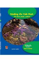Tending the Tide Pool