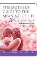 Mother's Guide to the Meaning of Life