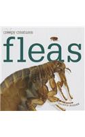 Fleas