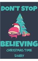 Christmas Time Diary