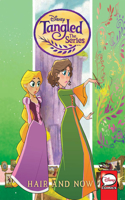 Tangled: The Series - Hair and Now