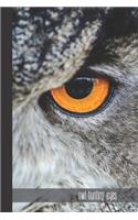 owl hunting eyes