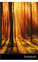 Notebook: Forêt, Lever du soleil, les arbres, Notebook Automne / Journal / Journal / livre Composition - 6 x 9 pouces (15,24 x 22,86 cm), 150 pages, finition 