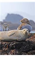 Seals Resting Notebook
