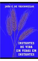 Instantes Poéticos de Vidas Em Instantes: (1 1)