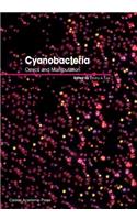 Cyanobacteria
