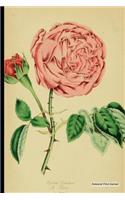 Botanical Print Journal