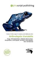 Arthroleptis Variabilis