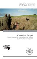 Casuarina Pauper