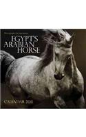 Egypt's Arabian Horse