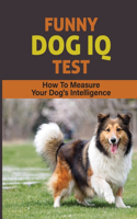 Funny Dog IQ Test: How To Measure Your Dog's Intelligence: Signs Your Dog Is Really Smart