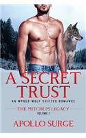 Secret Trust
