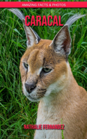 Caracal