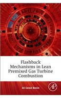 Flashback Mechanisms in Lean Premixed Gas Turbine Combustion