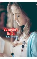 Yucatán's fields