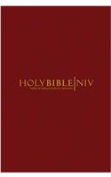 NIV Popular Burgundy Hardback Bible Pack of 20