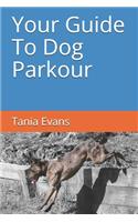 Your Guide to Dog Parkour