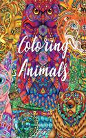 Coloring Animals