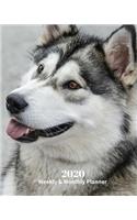 2020 Weekly and Monthly Planner