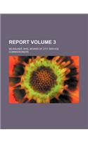 Report Volume 3