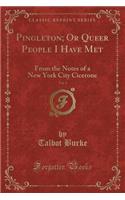 Pingleton; Or Queer People I Have Met, Vol. 1: From the Notes of a New York City Cicerone (Classic Reprint)