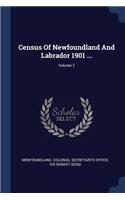 Census Of Newfoundland And Labrador 1901 ...; Volume 2