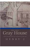 Big Gray House: The Adventures of Franklin Meyers