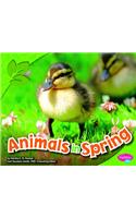 Animals in Spring: (All about Spring)