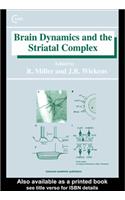 Brain Dynamics and the Striatal Complex