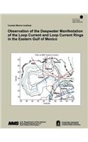 Observation of the Deepwater Manifestation of the Loop Current and Loop Current Rings in the Eastern Gulf of Mexico