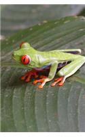 Tiny Green Tree Frog Journal: 150 Page Lined Notebook/Diary