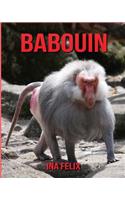 Babouin