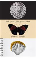 Smallest Objective