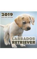 Labrador Retriever 2019 Mini Wall Calendar