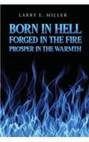 Born in Hell, Forged in the Fire, Prosper in the Warmth