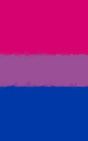 Bisexual Pride Flag Sketchbook