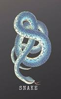 Snake: Animal, Nature, Environmental, Notebook, Journal, Diary (110 Pages, Lined, 6 x 9)