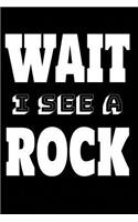 Wait I See A Rock: Geology Rock Lovers Journal