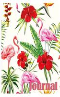 Journal: Flamingo Journal 6 x 9, 120 Page Blank Lined Paperback Journal