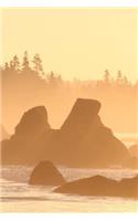 2019 Weekly Planner Misty Foggy Sunrise Beach Ocean Shoreline 134 Pages