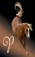 Horse Initial 'p' Monogram Notebook