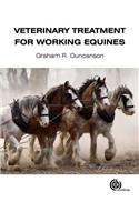 Veterinary Treatment for Working Equines