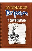 Dyddiadur Dripsyn: Gwsberan, Y