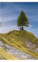 A Fir Tree on a Hill Overlooking the Lake Journal: 150 Page Lined Notebook/Diary