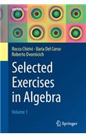 Selected Exercises in Algebra
