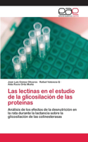 lectinas en el estudio de la glicosilación de las proteínas