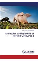 Molecular Pathogenesis of Porcine Circovirus 2