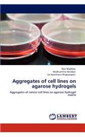 Aggregates of cell lines on agarose hydrogels