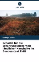 Schocks für die Ernährungssicherheit ländlicher Haushalte im Bundesstaat Ekiti