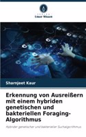 Erkennung von Ausreißern mit einem hybriden genetischen und bakteriellen Foraging-Algorithmus